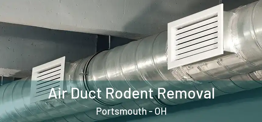  Air Duct Rodent Removal Portsmouth - OH