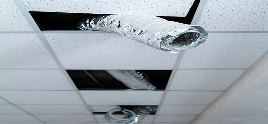 Affordable HVAC Sanitizing After Pest Removal in Portsmouth