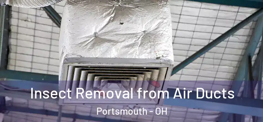 Insect Removal from Air Ducts Portsmouth - OH