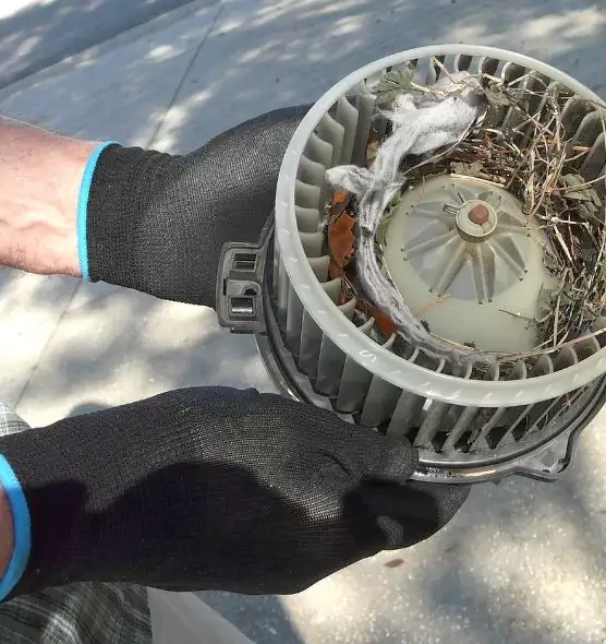 About Air Duct Mice Removal in Portsmouth, OH