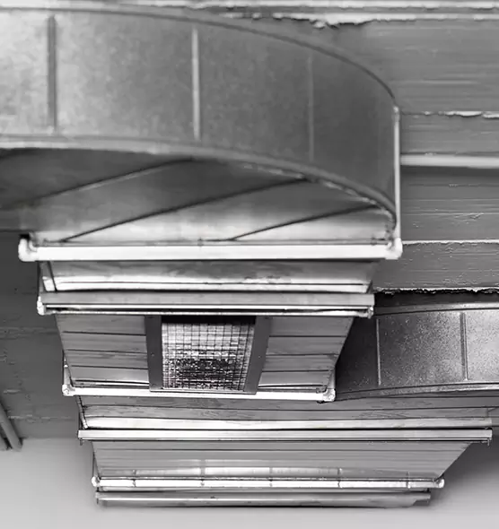 Professional Air Duct Pest Removal in Portsmouth, OH