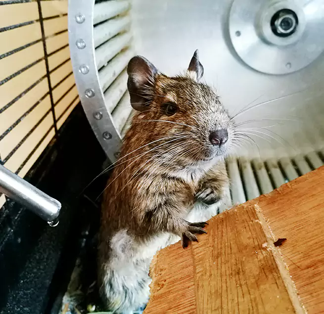 Why Homeowners & Businesses Trust Us Portsmouth, OH