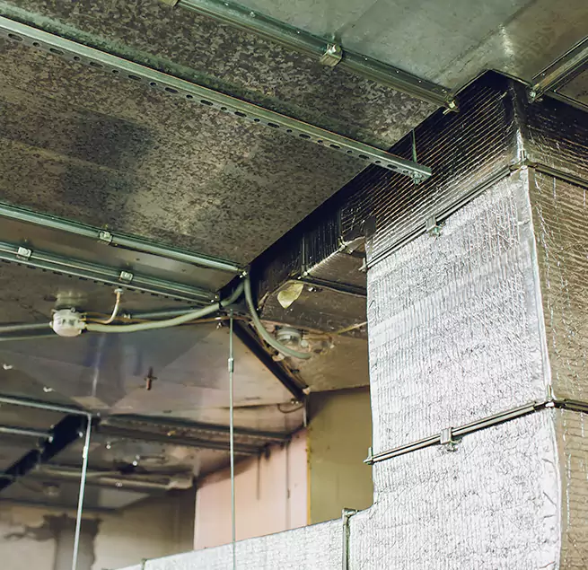 Why Homeowners & Businesses Trust Us in Portsmouth, OH?